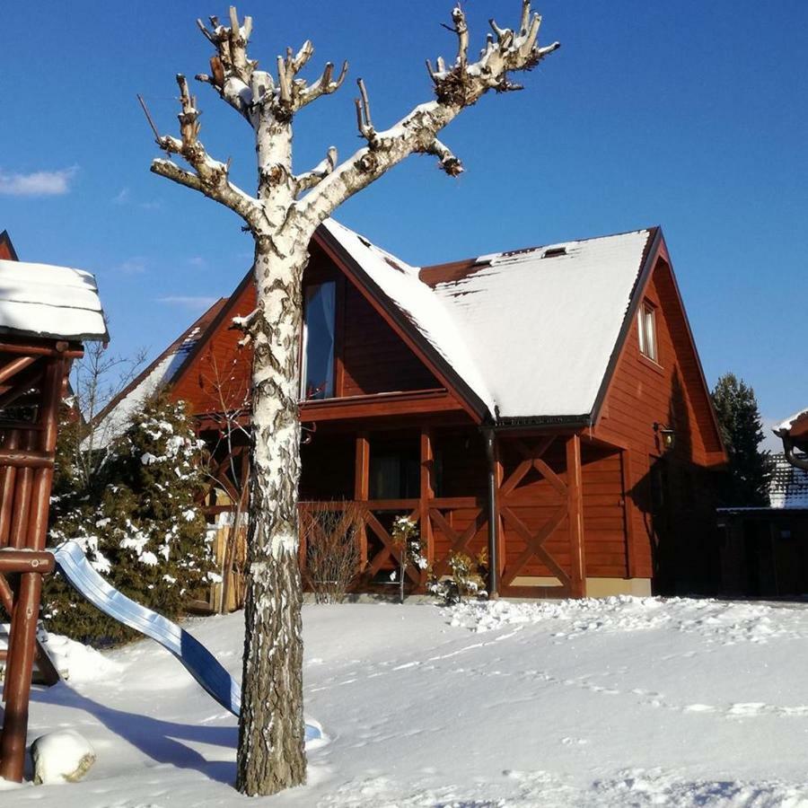 Domcek Pri Vode Villa Mlynceky Exterior photo
